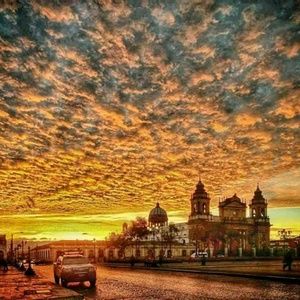 Meet your Posher, Freddy